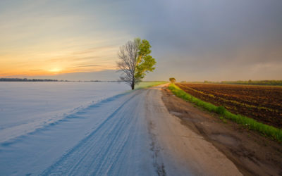 Winter Planning – No Surprises?
